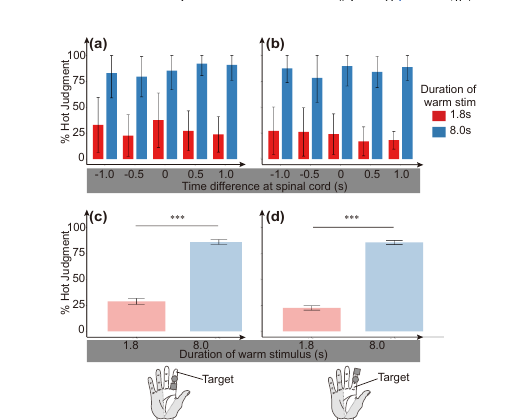 Experiment 1 results